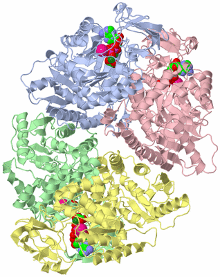 Image Biological Unit 1