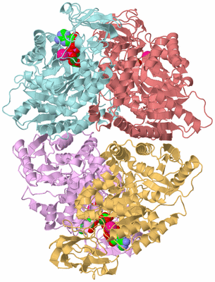 Image Biological Unit 2