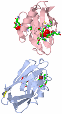 Image Biol. Unit 1 - sites