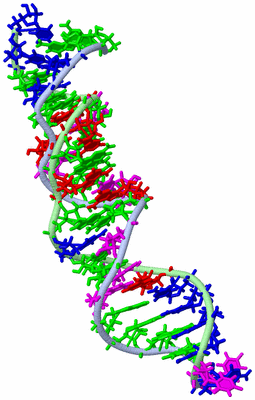 Image NMR Structure - model 1