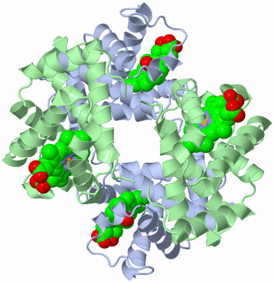 Image Biological Unit 1