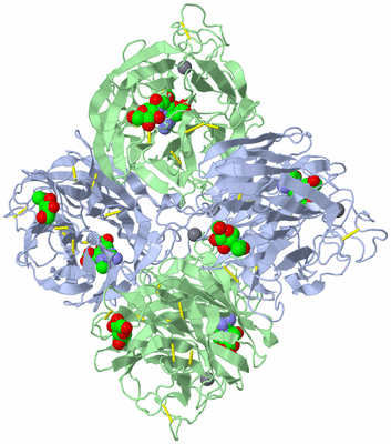 Image Biological Unit 1