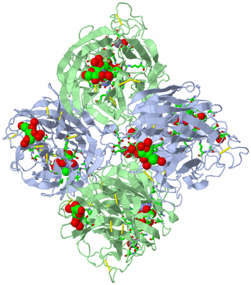 Image Biol. Unit 1 - sites