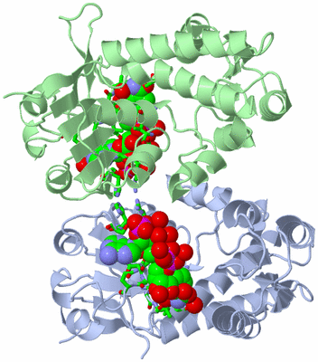 Image Asym./Biol. Unit - sites