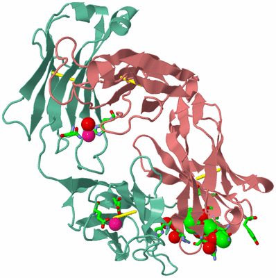 Image Biol. Unit 1 - sites