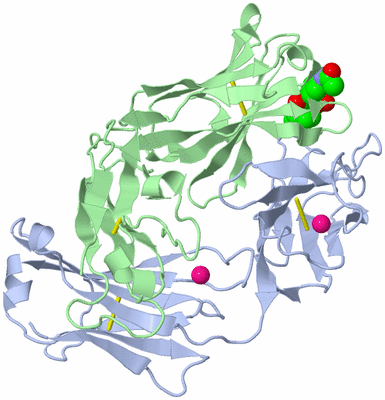 Image Biological Unit 2