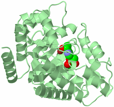 Image Biological Unit 2