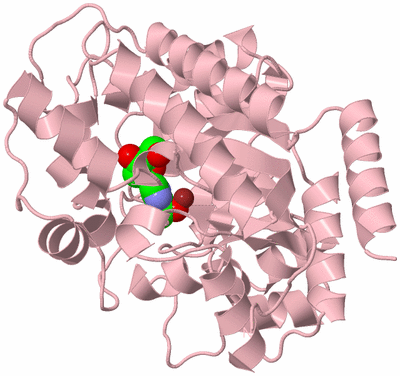 Image Biological Unit 3