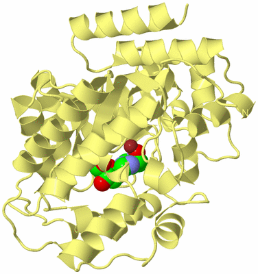 Image Biological Unit 4