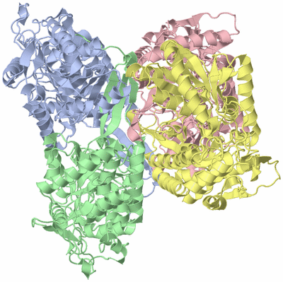 Image Asym./Biol. Unit