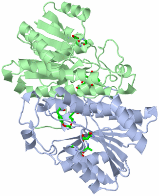 Image Asym./Biol. Unit - sites