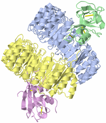 Image Asym./Biol. Unit