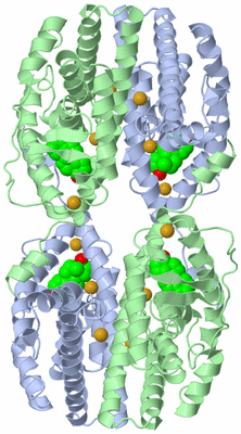 Image Biological Unit 2