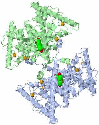 Image Biological Unit 3