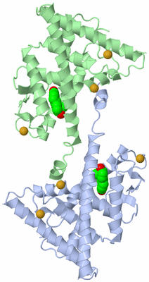 Image Biological Unit 4