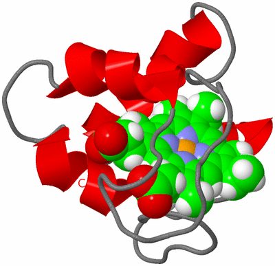 Image NMR Structure - model 1