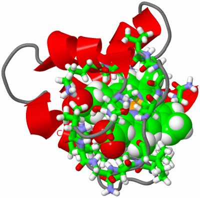 Image NMR Structure - model 1, sites