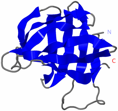 Image NMR Structure - model 1