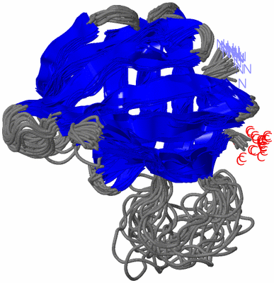 Image NMR Structure - all models