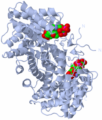 Image Biological Unit 1