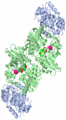 Image Biological Unit 1