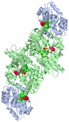 Image Biol. Unit 1 - sites