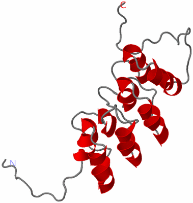 Image NMR Structure - model 1