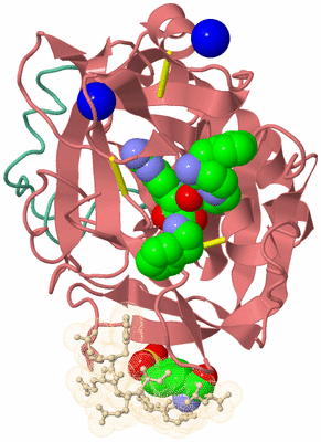 Image Asym./Biol. Unit