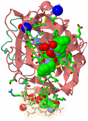 Image Asym./Biol. Unit - sites