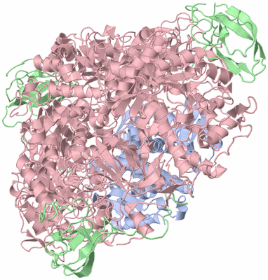 Image Biological Unit 1