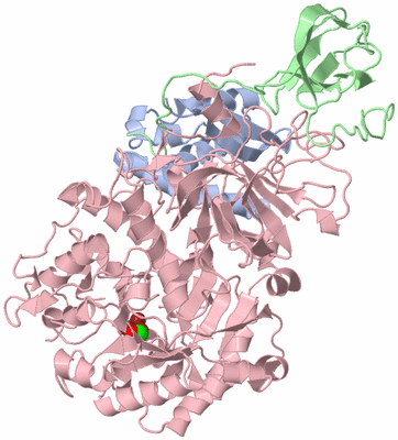 Image Asymmetric Unit