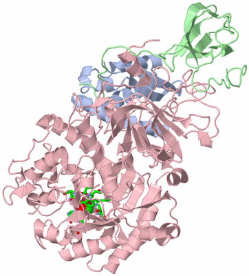 Image Asym. Unit - sites