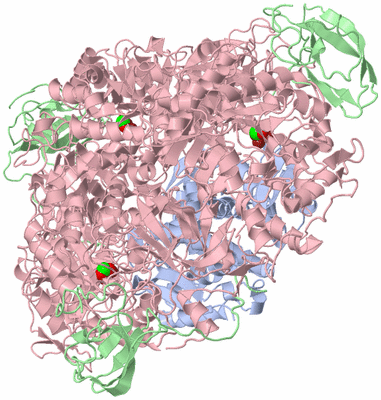 Image Biological Unit 1