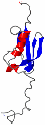 Image NMR Structure - model 1