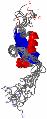 Image NMR Structure - all models