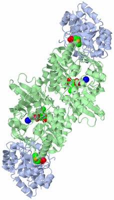 Image Biological Unit 1