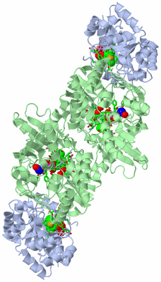 Image Biol. Unit 1 - sites