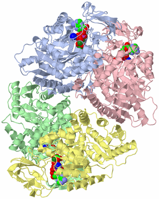 Image Biological Unit 1