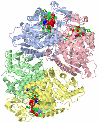 Image Biol. Unit 1 - sites