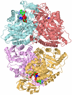 Image Biological Unit 2