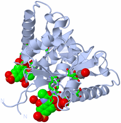 Image Biol. Unit 1 - sites