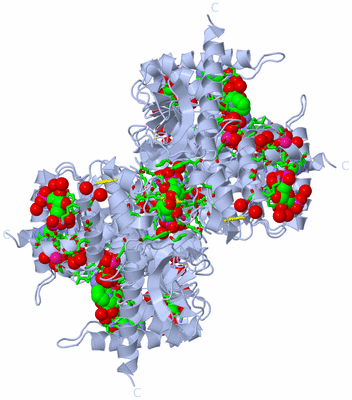 Image Biol. Unit 1 - sites