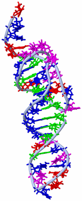 Image NMR Structure - model 1