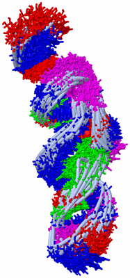 Image NMR Structure - all models
