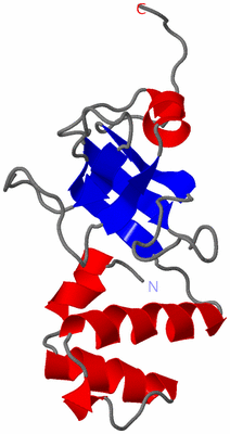 Image NMR Structure - model 1