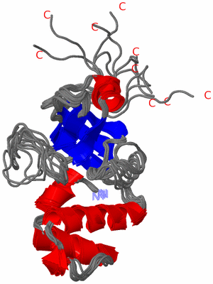 Image NMR Structure - all models