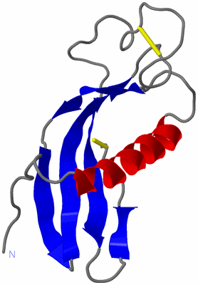 Image NMR Structure - model 1