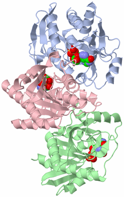 Image Asymmetric Unit