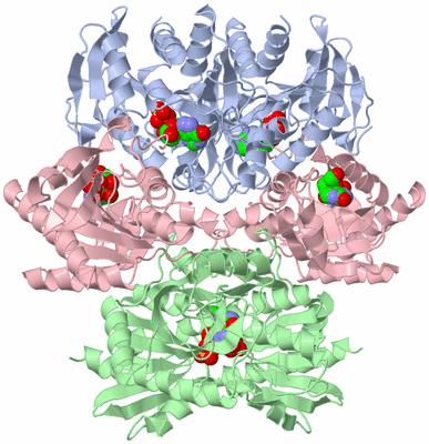 Image Biological Unit 1