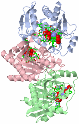 Image Asym. Unit - sites